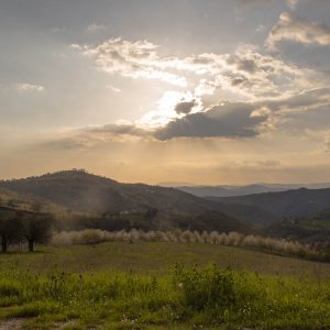 Itinerari Umbria -Agriturismo Casa Brunori Foligno