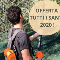Offerta Ognissanti 2020 in Umbria